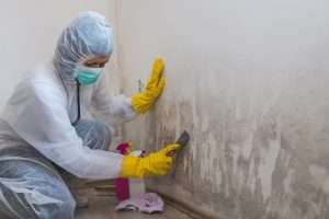 Person cleaning Mold Remediation
