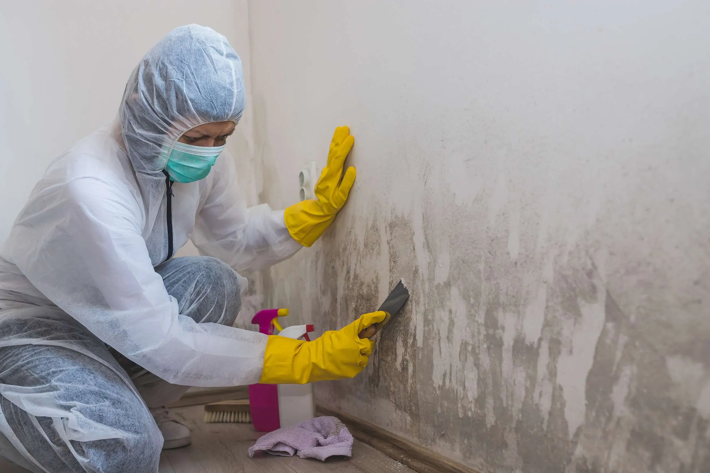 Person cleaning Mold Remediation